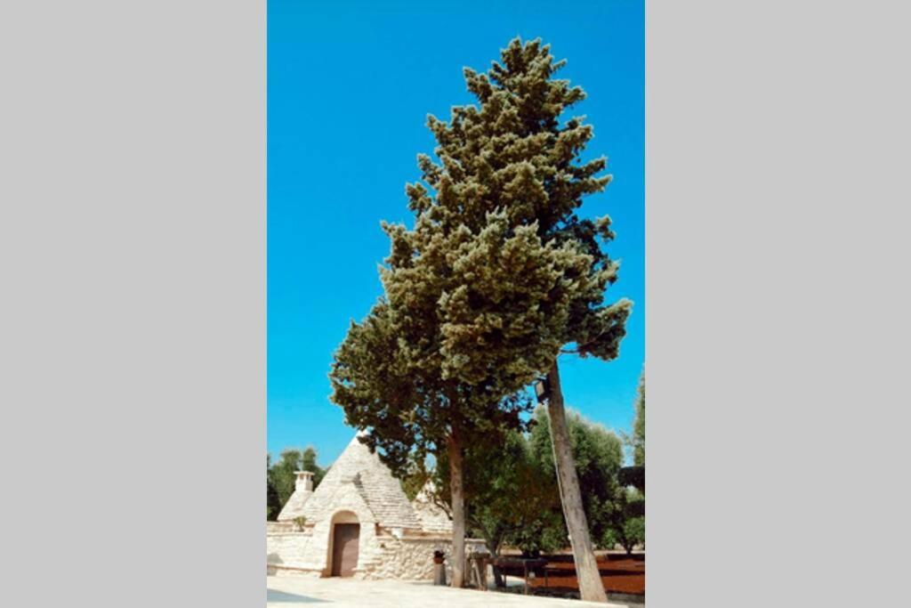 Trulli Monteforte Villa Castelli Eksteriør bilde