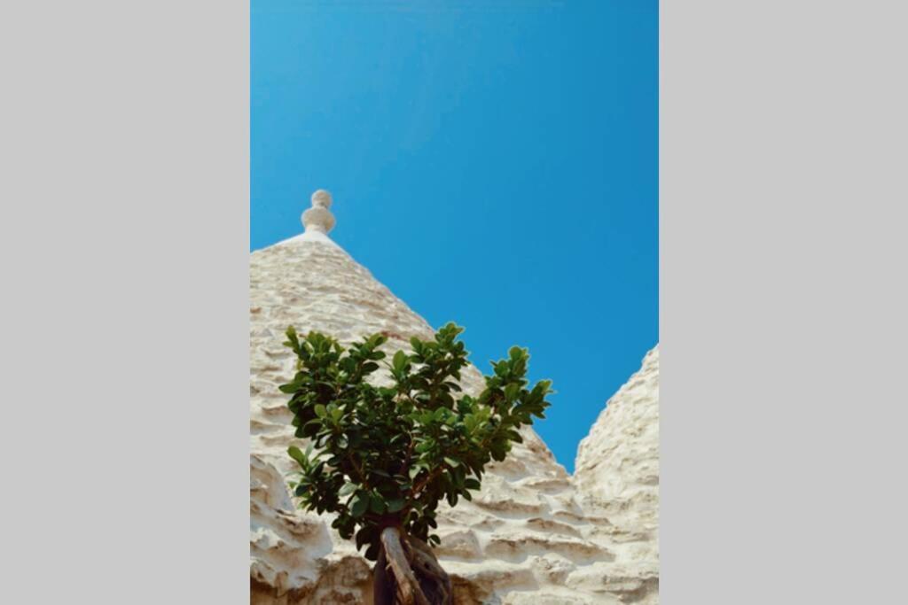 Trulli Monteforte Villa Castelli Eksteriør bilde